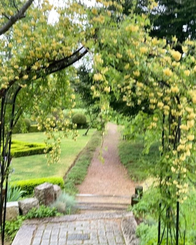 今日は雨ですが、新緑が美しいガーデンです。

モッコウバラが満開、ジャーマンアイリスも咲き始めました。
オオヤマレンゲは甘い香りでうっとりします☺️

ひと雨ごとに勢いを増す植物たちのエネルギーに目を見張ります。

#ハーブスクエア
#安曇野ハーブスクエア
#オオヤマレンゲ
#モッコウバラ
#ジャーマンアイリス